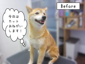 よろしくミックス