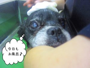 お風呂ミックス