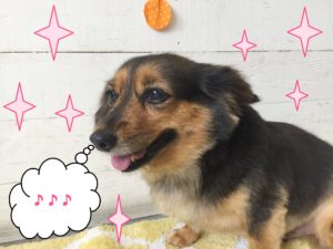 仕上がりミックス