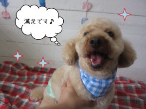 TPのペコちゃん施術後