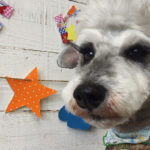 ソルちゃんアイキャッチ