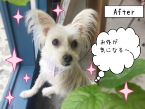 仕上がりミックス