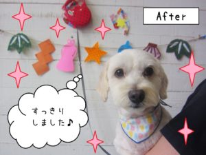 仕上がりミックス