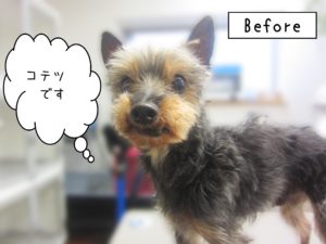 よろしくミックス