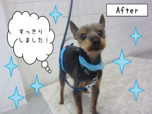 仕上がりミックス