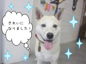 仕上がりミックス