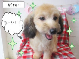 仕上がりミックス