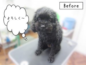 よろしくミックス