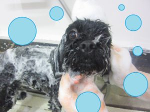 シャンプーミックス