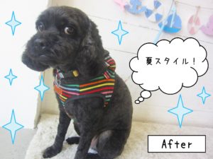 仕上がりミックス