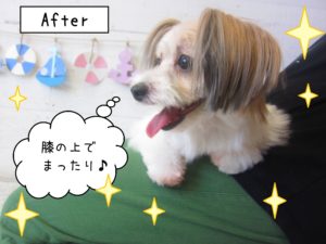 仕上がりミックス