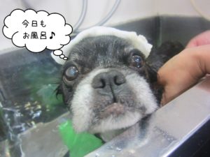 お風呂ミックス