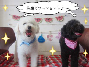 仕上がりトイプー