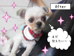 仕上がりミックス