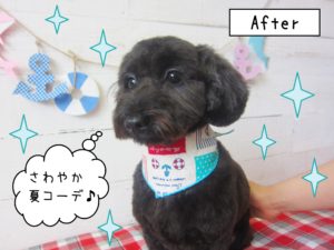 仕上がりミックス