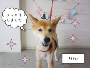 MIXのりーちゃん施術後