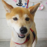 りーちゃんアイキャッチ