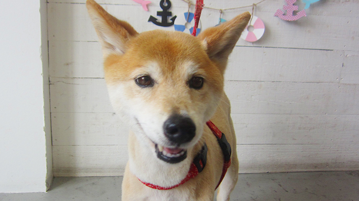 りーちゃんアイキャッチ