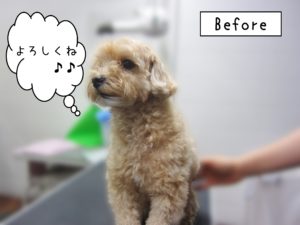 よろしくミックス