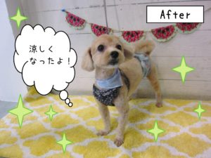 仕上がりミックス