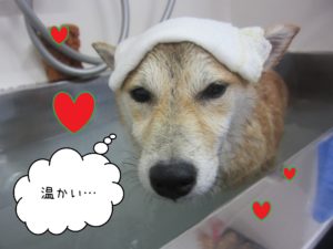 小晴ちゃんスパ中