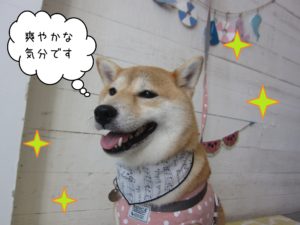 小晴ちゃん施術後