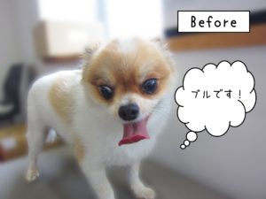 よろしくミックス