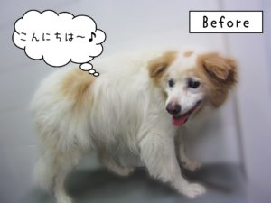 よろしくミックス