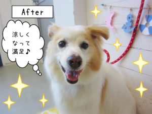 仕上がりミックス