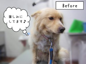 よろしくミックス