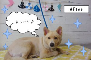 仕上がりミックス