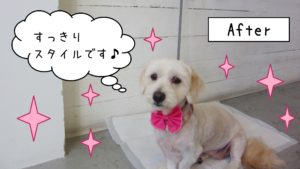 仕上がりミックス