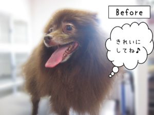 よろしくミックス