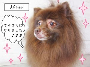 仕上がりミックス