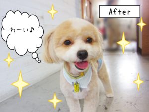 仕上がりミックス