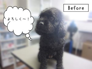 よろしくミックス