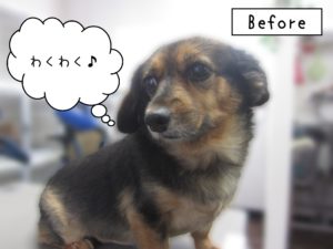 よろしくミックス