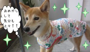 仕上がりミックス