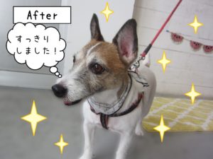 仕上がりジャック