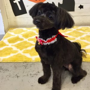 仕上がりミックス