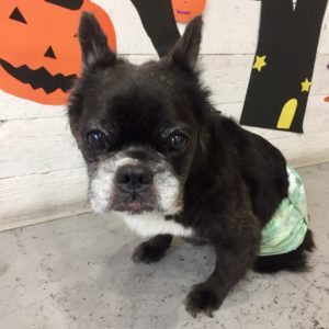 仕上がりミックス