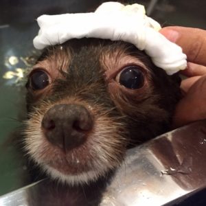 お風呂ミックス