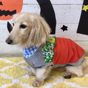 仕上がりダックス