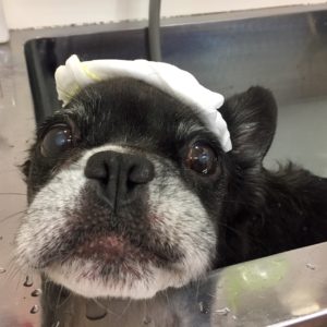 お風呂ミックス