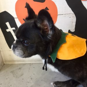 仕上がりミックス