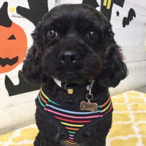 仕上がりミックス