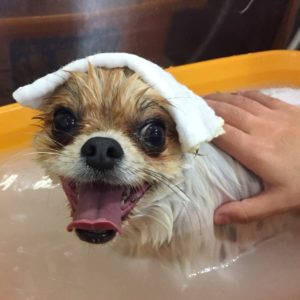 お風呂ミックス