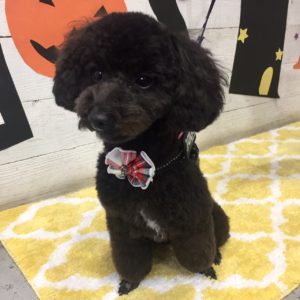 仕上がりミックス