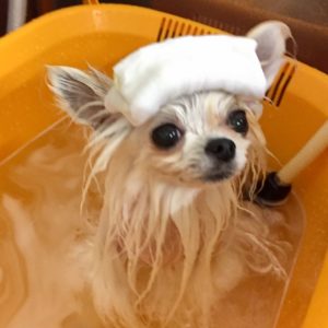 お風呂ミックス