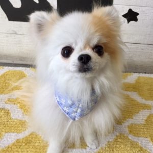 仕上がりミックス